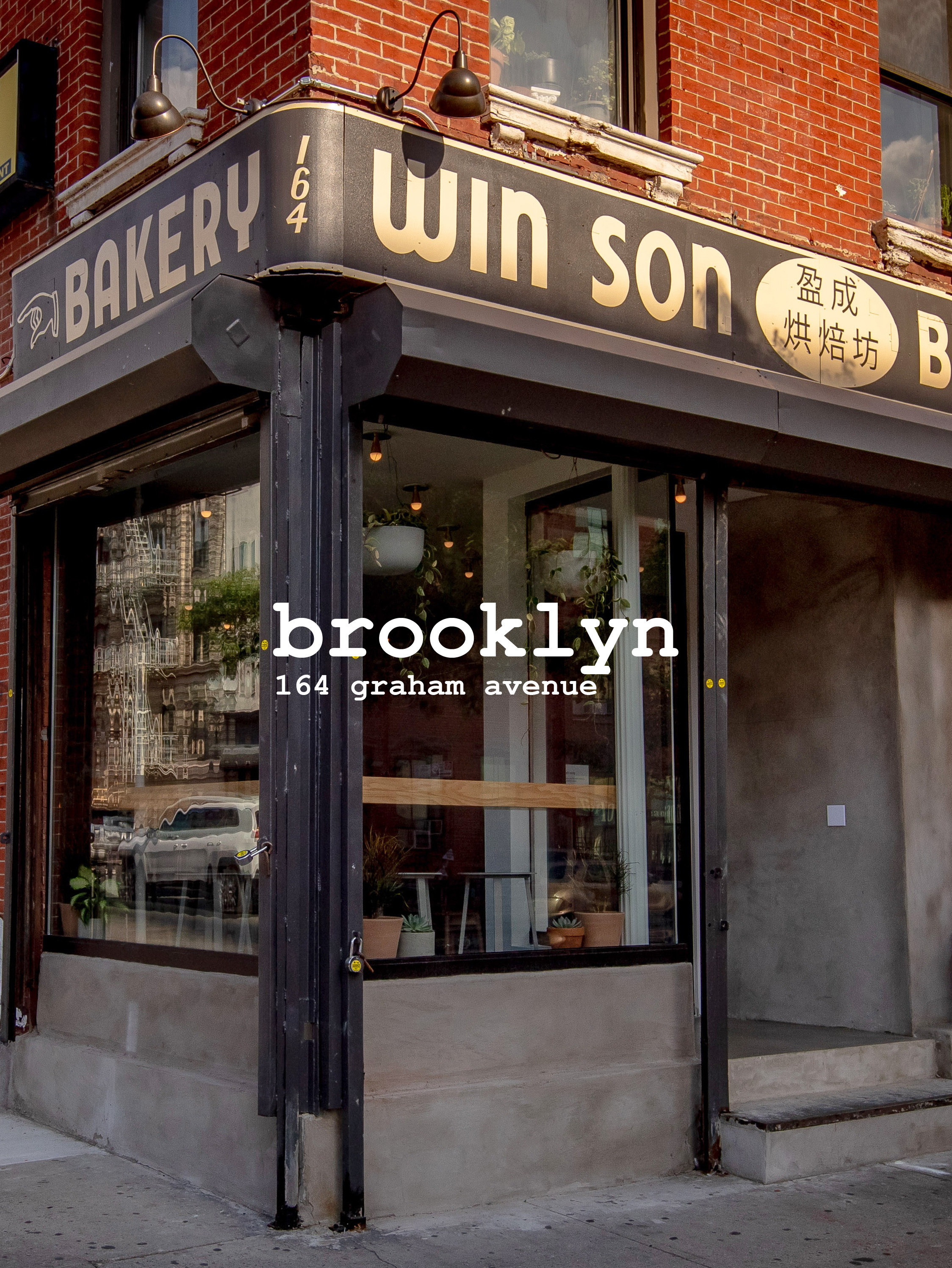 winson_brooklyn.jpg